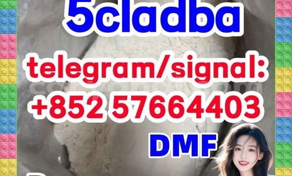Medium with watermark 58