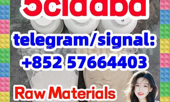 Medium with watermark 59