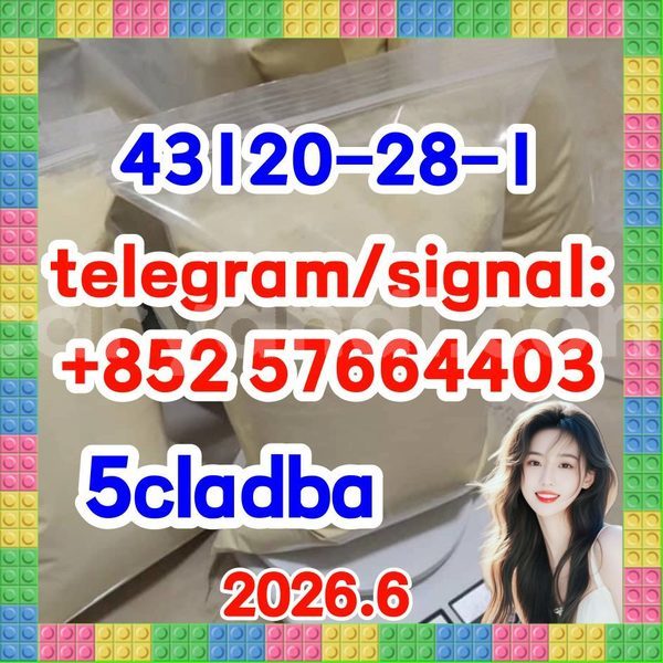 Big with watermark 511