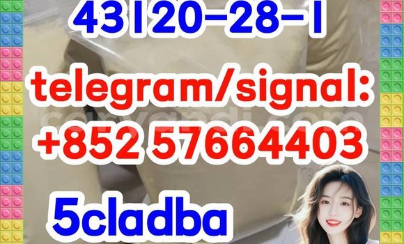 Medium with watermark 511