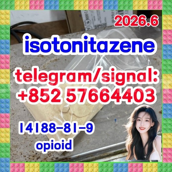 Big with watermark i1