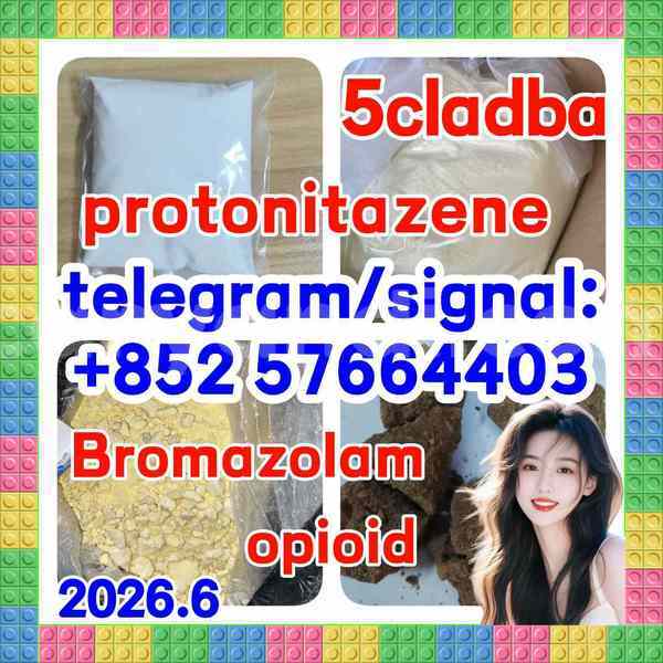 Big with watermark z2