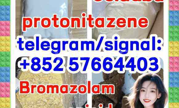 Medium with watermark z2