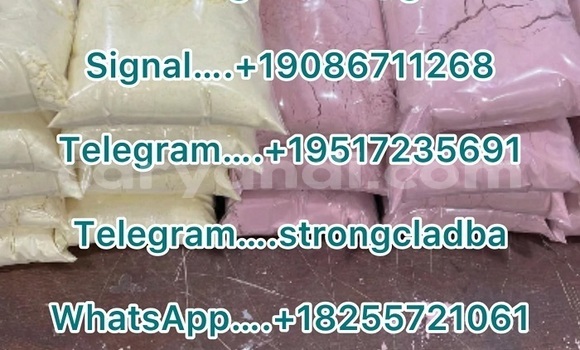 Medium with watermark a1