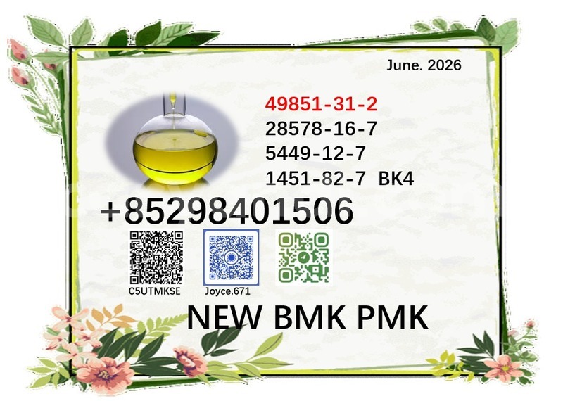 Big with watermark 49851 72
