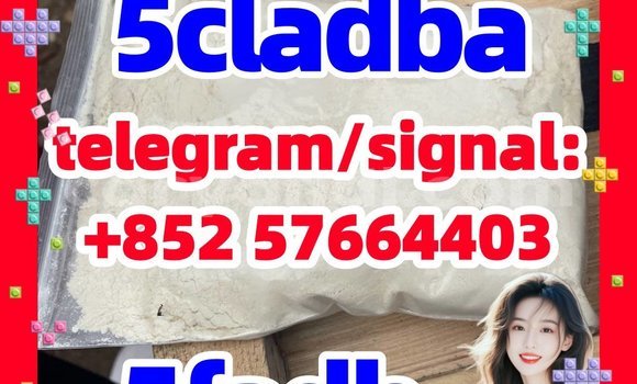 Medium with watermark 56