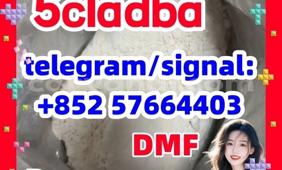 Medium with watermark 54