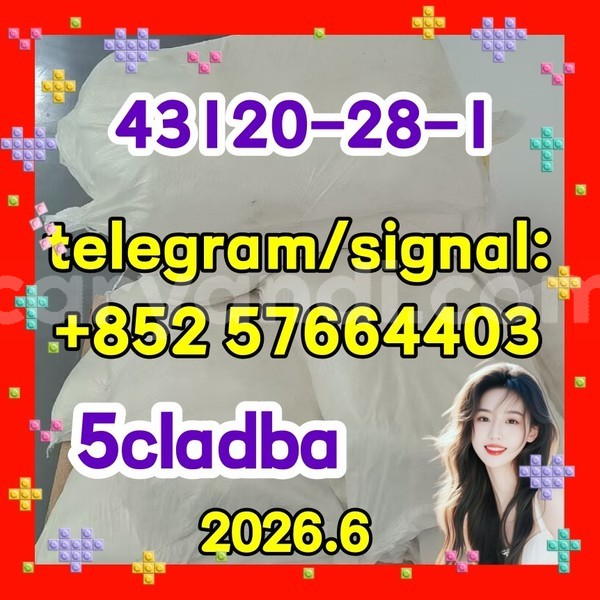 Big with watermark 511