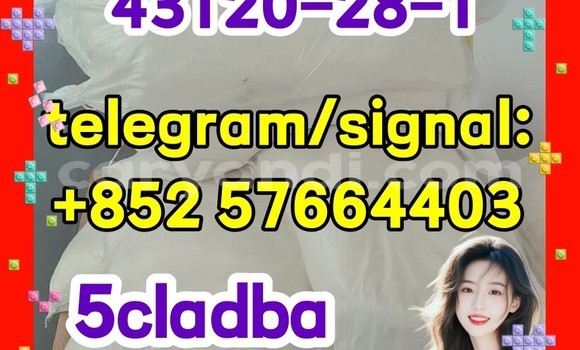 Medium with watermark 511