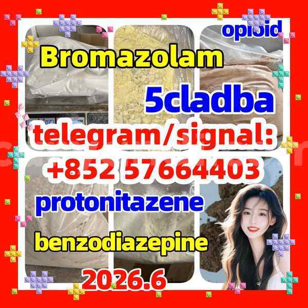 Big with watermark z2
