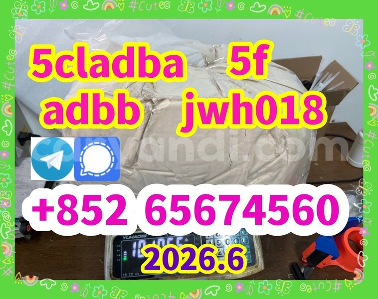 Big with watermark 1897065064ee14f167cc14artu6b250e071 %e5%89%af%e6%9c%ac