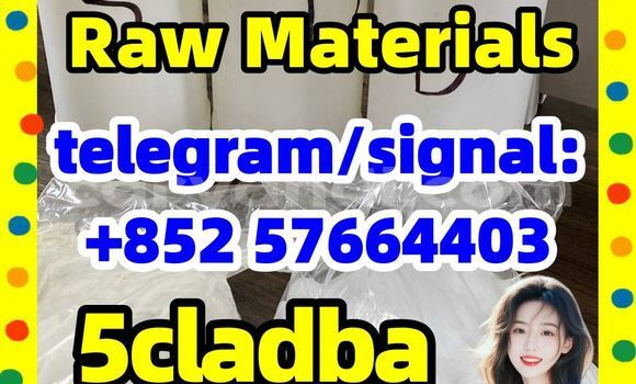 Medium with watermark 51