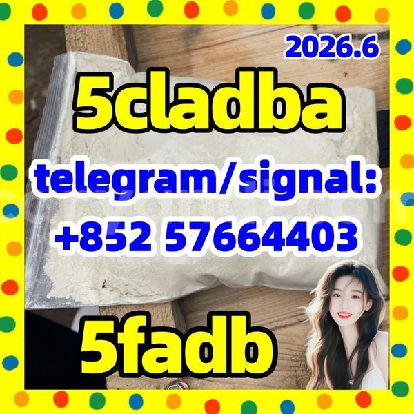 Big with watermark 56
