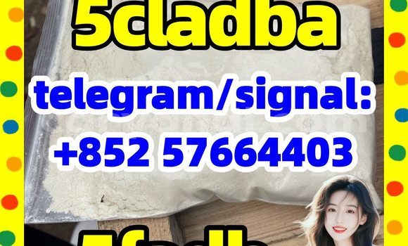 Medium with watermark 56