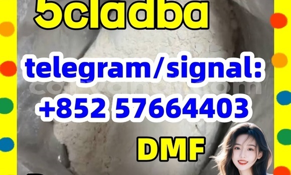 Medium with watermark 52