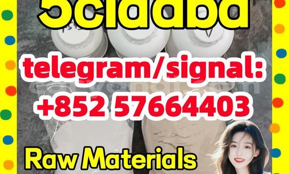 Medium with watermark 57