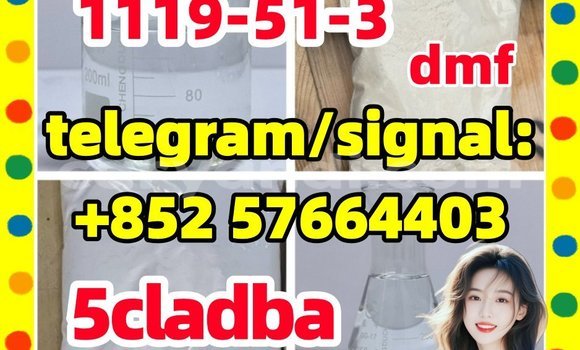 Medium with watermark 53