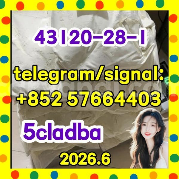 Big with watermark 511