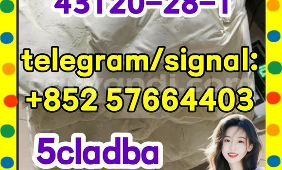 Medium with watermark 511