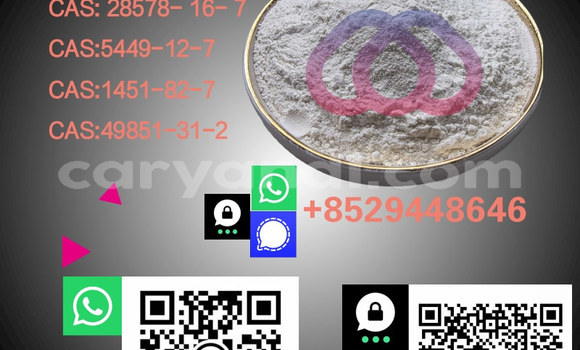 Medium with watermark %e5%89%af%e6%9c%ac %e6%b8%85%e6%96%b0%e9%a3%8e%e5%b9%bc%e7%8a%ac%e7%b2%ae%e4%bf%83%e9%94%80%e5%ae%9d%e8%b4%9d%e4%b8%bb%e5%9b%be 20 