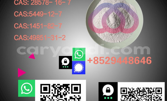 Medium with watermark %e5%89%af%e6%9c%ac %e6%b8%85%e6%96%b0%e9%a3%8e%e5%b9%bc%e7%8a%ac%e7%b2%ae%e4%bf%83%e9%94%80%e5%ae%9d%e8%b4%9d%e4%b8%bb%e5%9b%be 17 