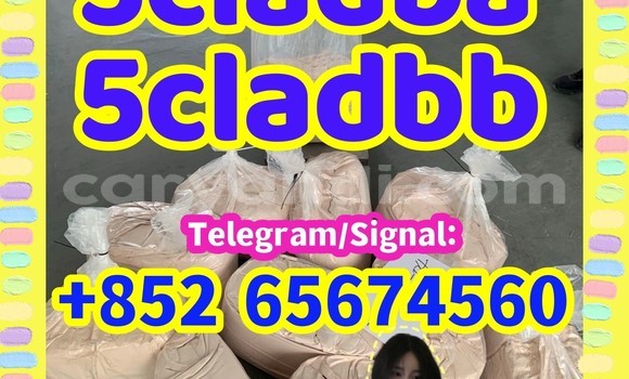 Medium with watermark img 02qswd26 %e5%89%af%e6%9c%ac