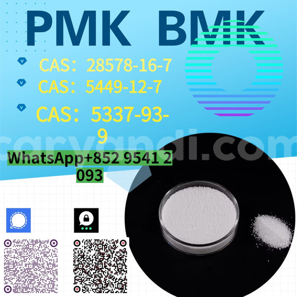 Big with watermark %e5%89%af%e6%9c%ac %e8%93%9d%e8%89%b2%e7%ae%80%e7%ba%a6%e5%af%92%e5%81%87%e5%9f%b9%e8%ae%ad%e6%8b%9b%e7%94%9f 16 