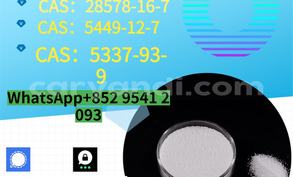 Medium with watermark %e5%89%af%e6%9c%ac %e8%93%9d%e8%89%b2%e7%ae%80%e7%ba%a6%e5%af%92%e5%81%87%e5%9f%b9%e8%ae%ad%e6%8b%9b%e7%94%9f 16 