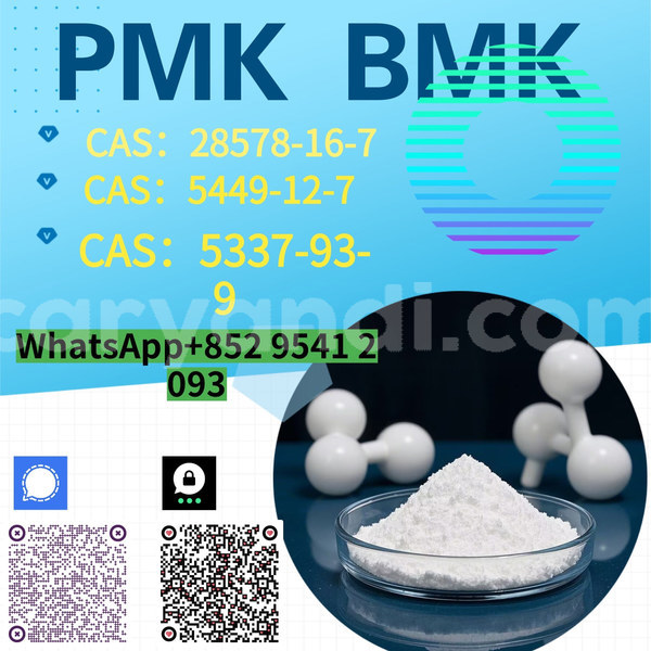 Big with watermark %e5%89%af%e6%9c%ac %e8%93%9d%e8%89%b2%e7%ae%80%e7%ba%a6%e5%af%92%e5%81%87%e5%9f%b9%e8%ae%ad%e6%8b%9b%e7%94%9f 15 