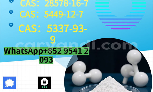 Medium with watermark %e5%89%af%e6%9c%ac %e8%93%9d%e8%89%b2%e7%ae%80%e7%ba%a6%e5%af%92%e5%81%87%e5%9f%b9%e8%ae%ad%e6%8b%9b%e7%94%9f 15 