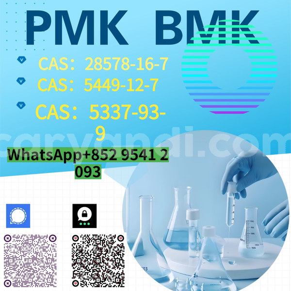 Big with watermark %e5%89%af%e6%9c%ac %e8%93%9d%e8%89%b2%e7%ae%80%e7%ba%a6%e5%af%92%e5%81%87%e5%9f%b9%e8%ae%ad%e6%8b%9b%e7%94%9f 13 