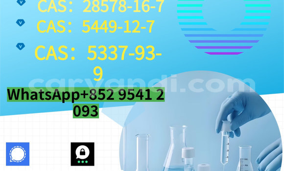 Medium with watermark %e5%89%af%e6%9c%ac %e8%93%9d%e8%89%b2%e7%ae%80%e7%ba%a6%e5%af%92%e5%81%87%e5%9f%b9%e8%ae%ad%e6%8b%9b%e7%94%9f 13 
