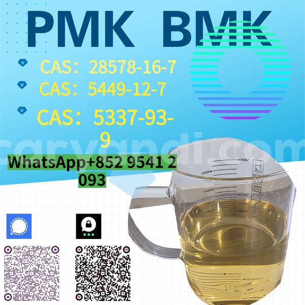Big with watermark %e5%89%af%e6%9c%ac %e8%93%9d%e8%89%b2%e7%ae%80%e7%ba%a6%e5%af%92%e5%81%87%e5%9f%b9%e8%ae%ad%e6%8b%9b%e7%94%9f 12 