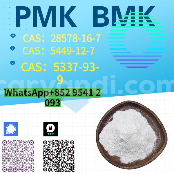 Big with watermark %e5%89%af%e6%9c%ac %e8%93%9d%e8%89%b2%e7%ae%80%e7%ba%a6%e5%af%92%e5%81%87%e5%9f%b9%e8%ae%ad%e6%8b%9b%e7%94%9f 10 