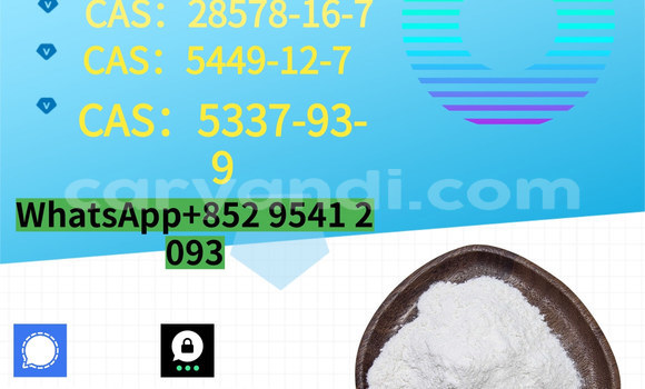 Medium with watermark %e5%89%af%e6%9c%ac %e8%93%9d%e8%89%b2%e7%ae%80%e7%ba%a6%e5%af%92%e5%81%87%e5%9f%b9%e8%ae%ad%e6%8b%9b%e7%94%9f 10 