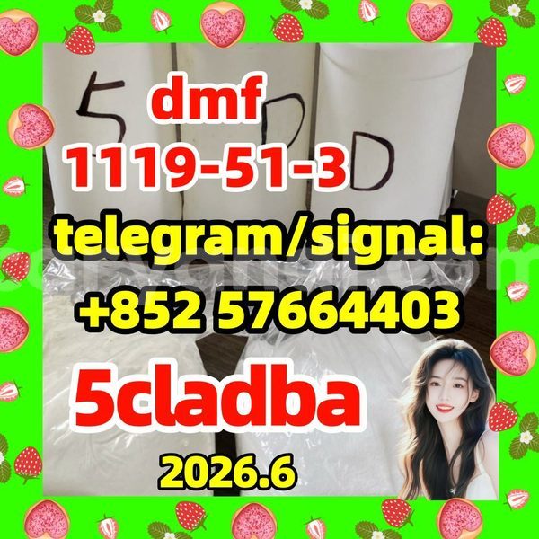 Big with watermark 51