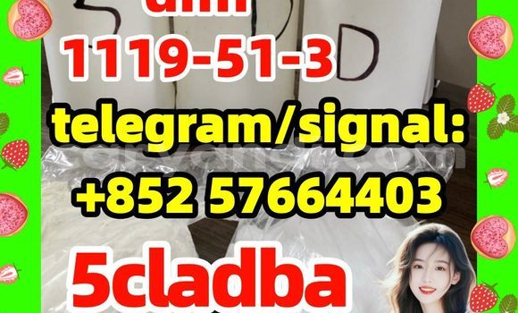 Medium with watermark 51