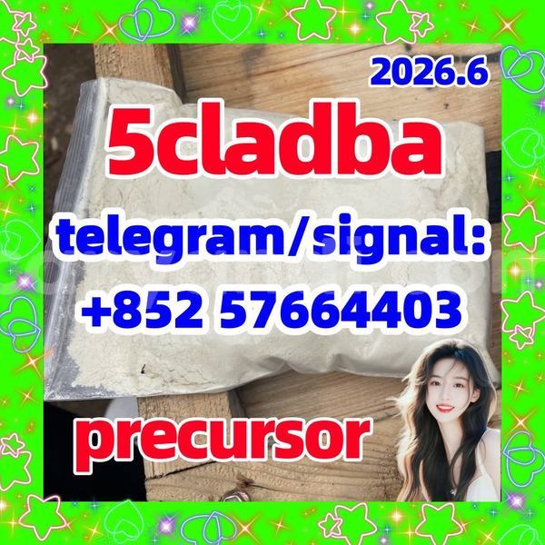Big with watermark 56