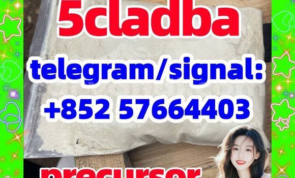 Medium with watermark 56