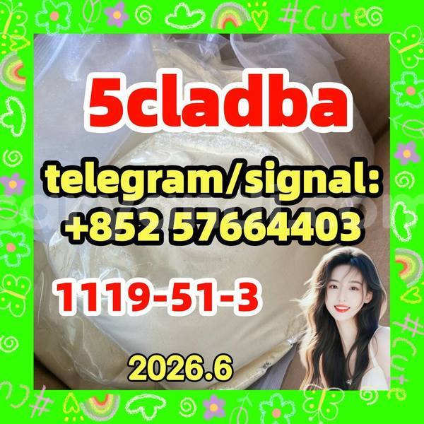 Big with watermark 53