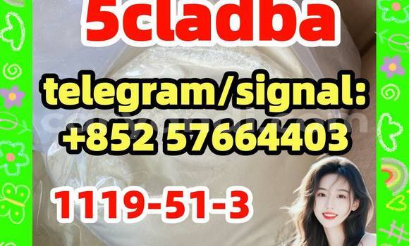 Medium with watermark 53