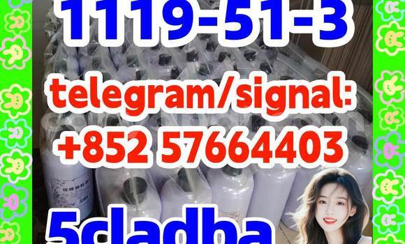 Medium with watermark 58