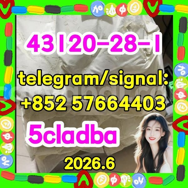 Big with watermark 511