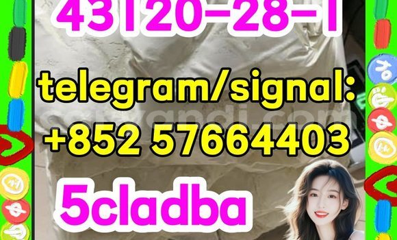 Medium with watermark 511