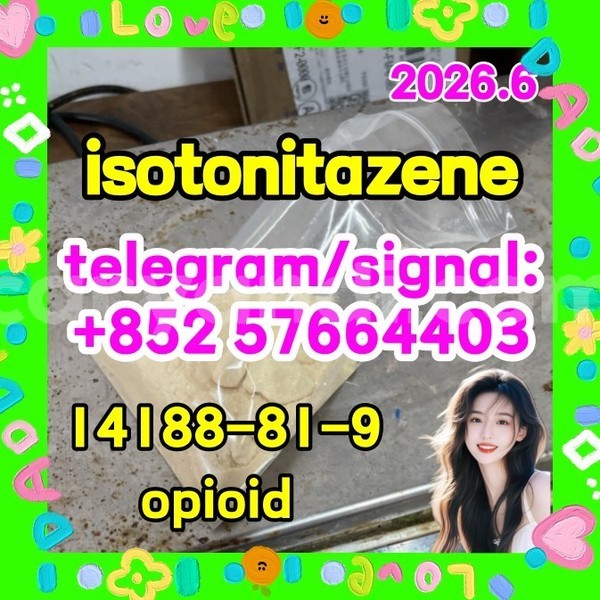 Big with watermark i1