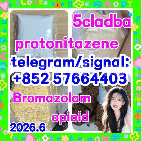 Big with watermark z2