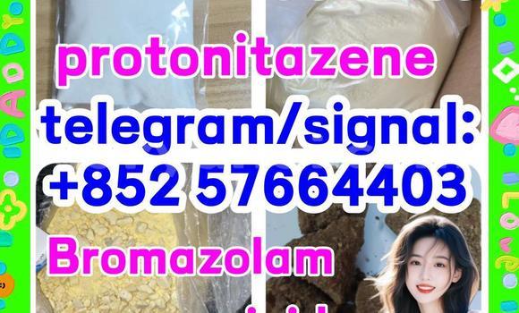 Medium with watermark z2