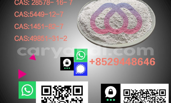 Medium with watermark %e5%89%af%e6%9c%ac %e6%b8%85%e6%96%b0%e9%a3%8e%e5%b9%bc%e7%8a%ac%e7%b2%ae%e4%bf%83%e9%94%80%e5%ae%9d%e8%b4%9d%e4%b8%bb%e5%9b%be 13 