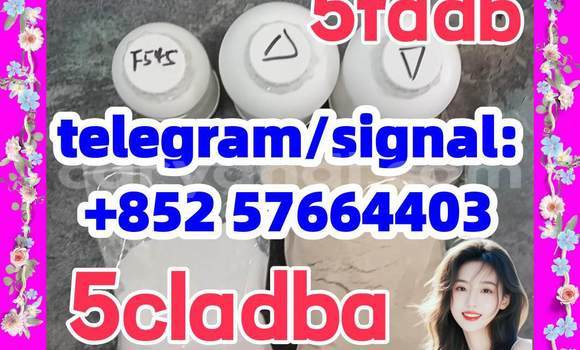Medium with watermark 54