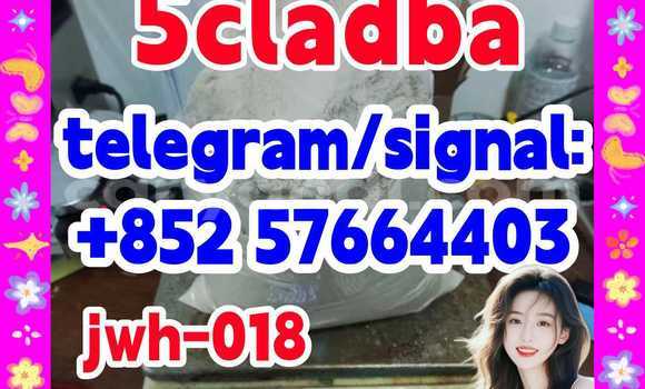 Medium with watermark 59